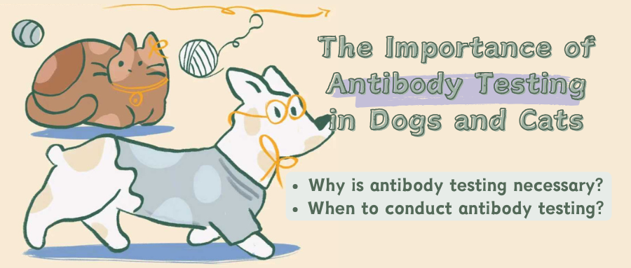 The Importance of Antibody Testing in Dogs and Cats