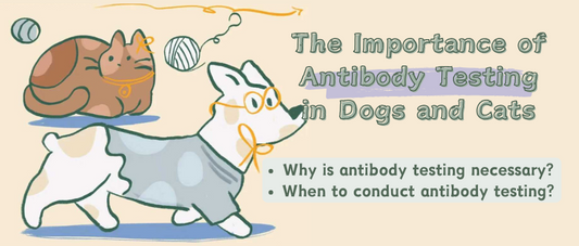 The Importance of Antibody Testing in Dogs and Cats