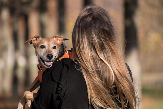 The 5 Most Frightening Ways to Hold a Dog – Have You Unintentionally Done Any of Them?