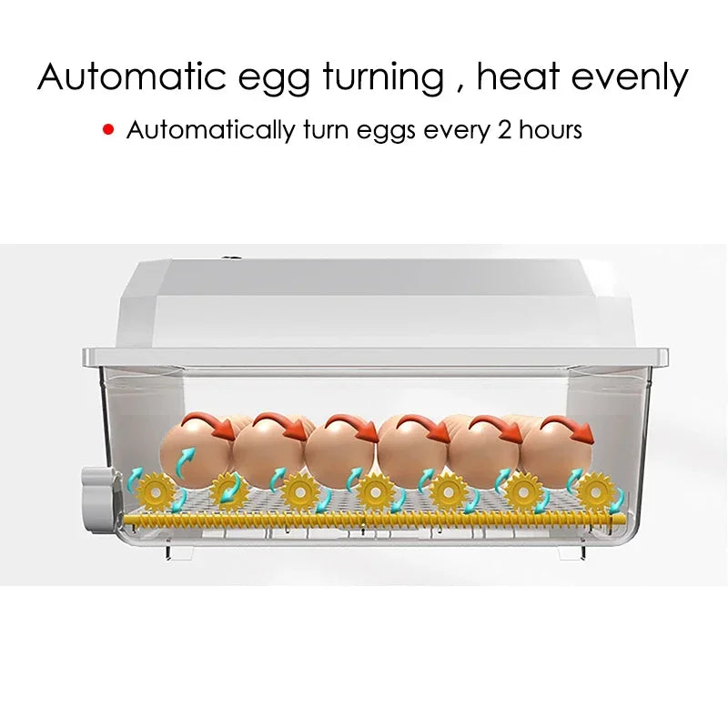 Farm Poultry Fully Automatic Turning Egg Incubator Dual-Electric Mini Household Brooder for Chicken Goose Duck Bird 16 Eggs 220V