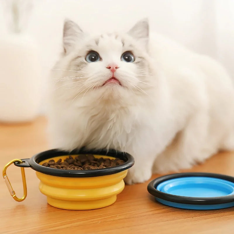 350ml Folding Bowl With Keychain Pet Bowl Portable Travel Dog Bowl Convenient Cat bowl Non-deformable Folding Bowl