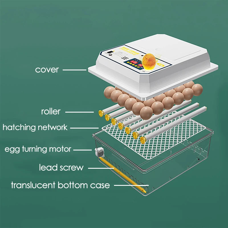 Farm Poultry Fully Automatic Turning Egg Incubator Dual-Electric Mini Household Brooder for Chicken Goose Duck Bird 16 Eggs 220V